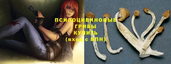 дурь Елизово