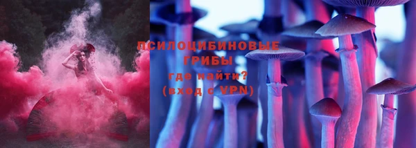 дурь Елизово