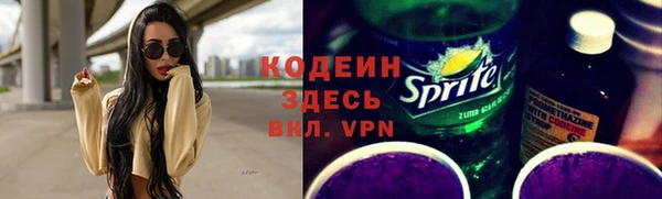 дурь Елизово