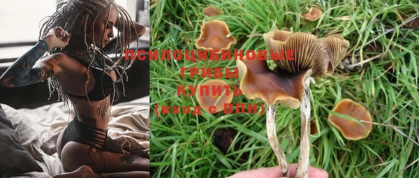 дурь Елизово