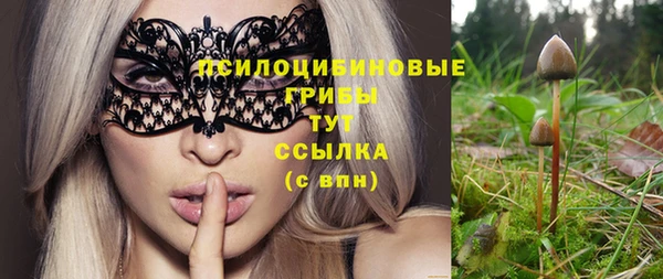 дурь Елизово