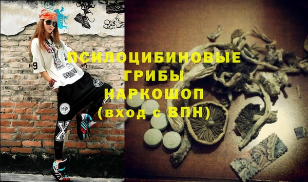 метадон Ельня
