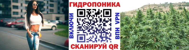 Канабис VHQ  Купить закладки  Кировград 
